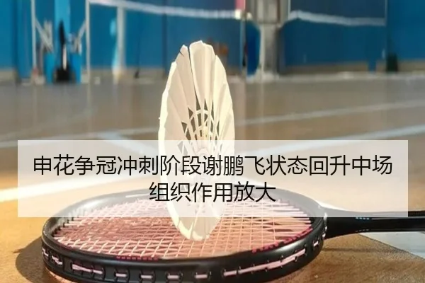申花争冠冲刺阶段谢鹏飞状态回升中场组织作用放大 - NGSPORTS
